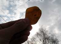 Солнечный камень симбирцит или волжский янтарь