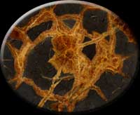 Жильный симбирцит, типичный. Септария изнутри
